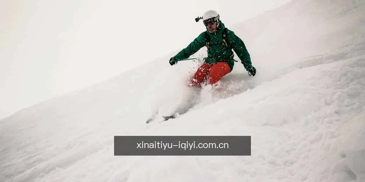 平台简介